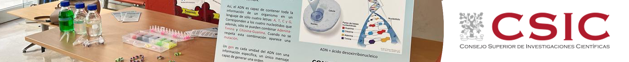Miniatura Proyecto XYZ
